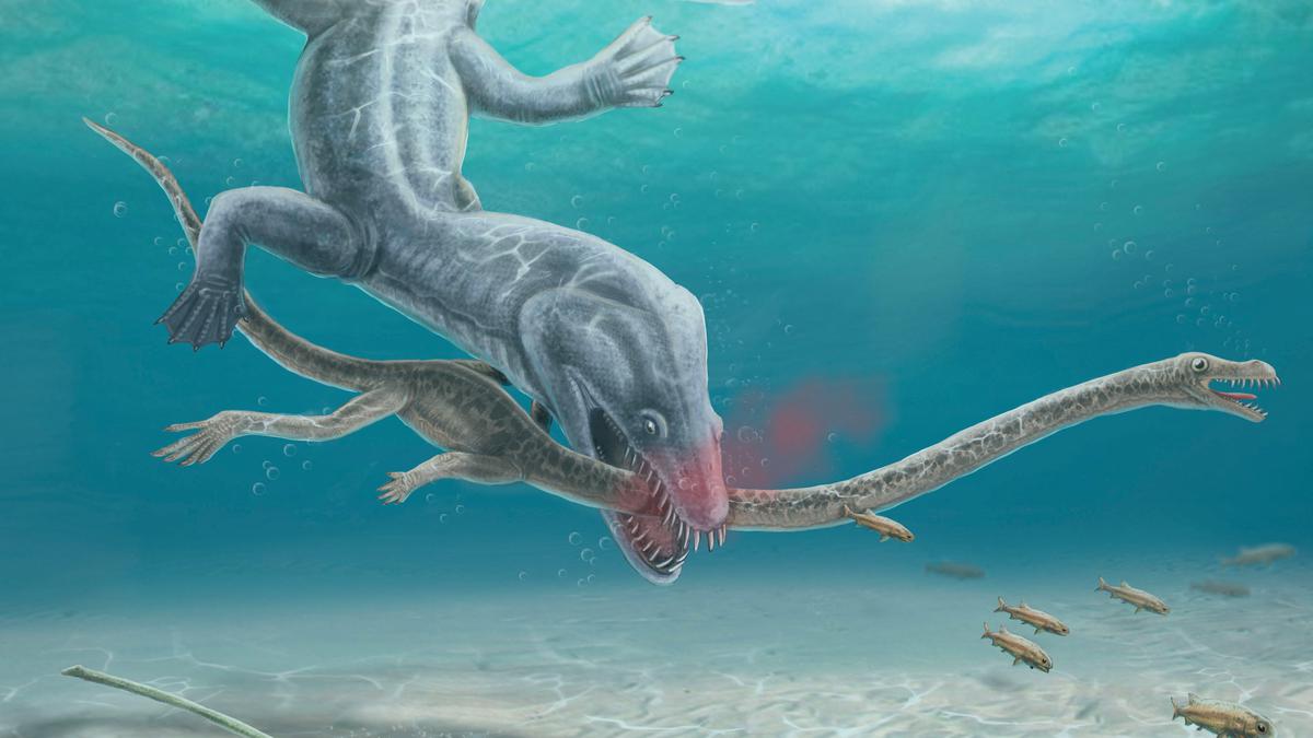 Fossils show ancient long-necked sea beast's 'gruesome' decapitation