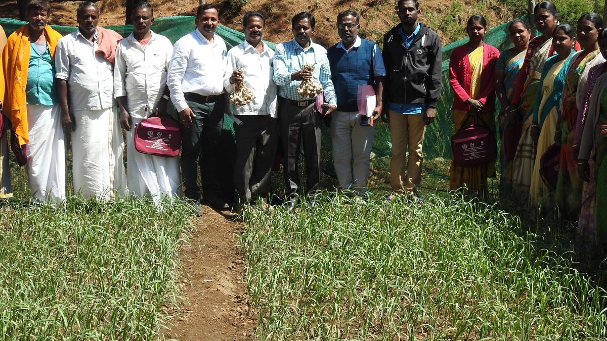 Seminar on upscaling hill garlic production held The Hindu