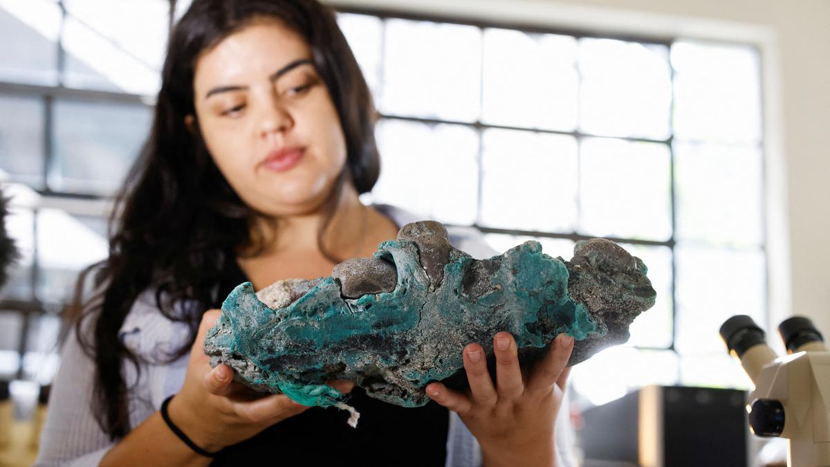 Brazilian researchers find 'terrifying' plastic rocks on remote island