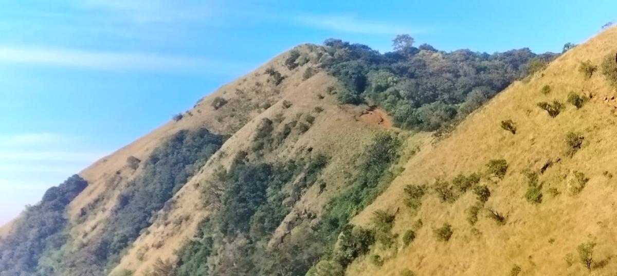 कर्नाटक के पर्यटन विभाग ने केंद्र की पर्वतमाला परियोजना के तहत कोल्लूर और कोडाचद्री को जोड़ने वाले एक यात्री-वहन रोपवे का प्रस्ताव दिया है। 