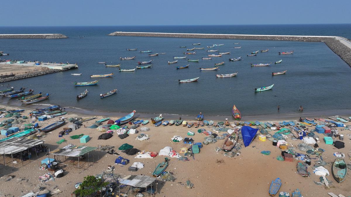 Fishermen seek infrastructure, training to revive tuna fishing harbour in Tiruvottiyur