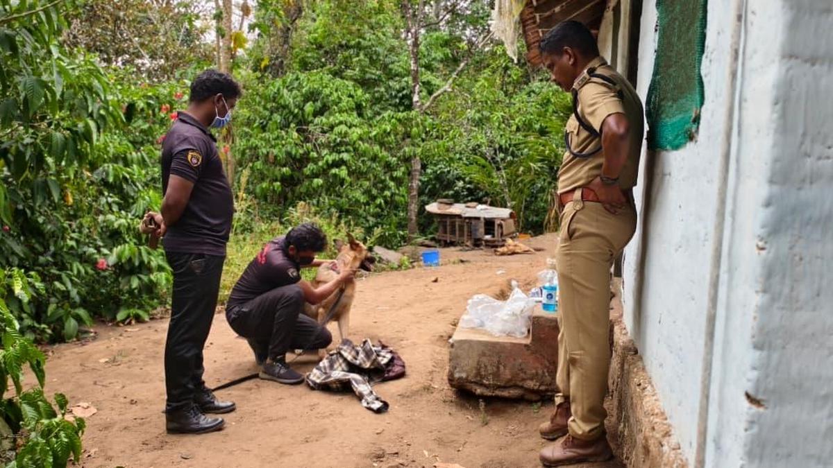 Man accused of murdering mother and brother in Kerala’s Idukki remanded in  judicial custody
