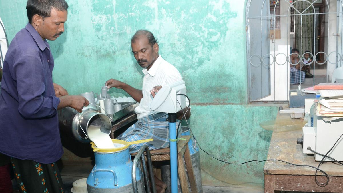 Tiruchi Aavin struggles to woo back milk suppliers