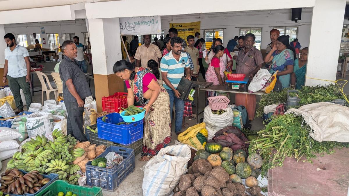 Organic Farmers Market concept hits T. Nagar