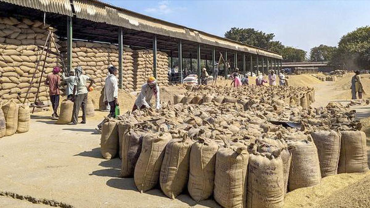 Paddy procurement in Punjab going on smoothly, says Centre