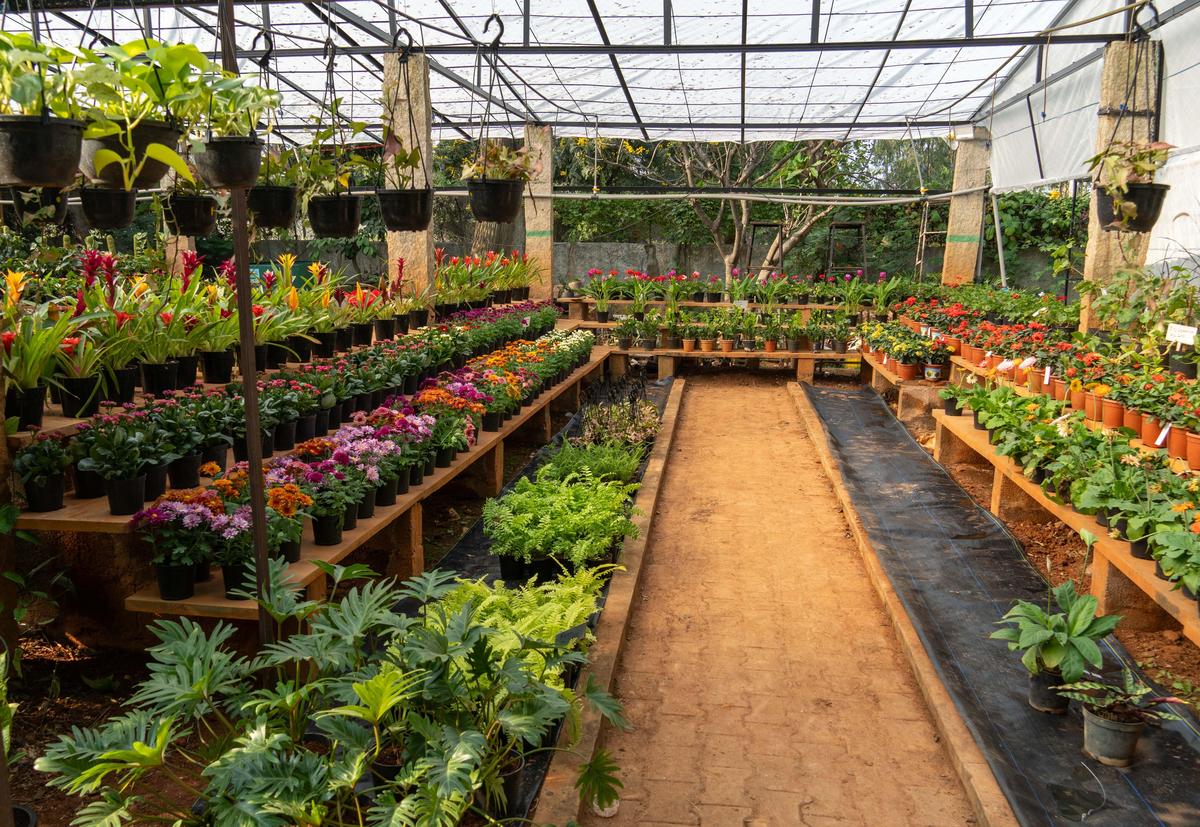 At APD's Bloom and Plant Carnival At APD's Bloom and Plant Carnival