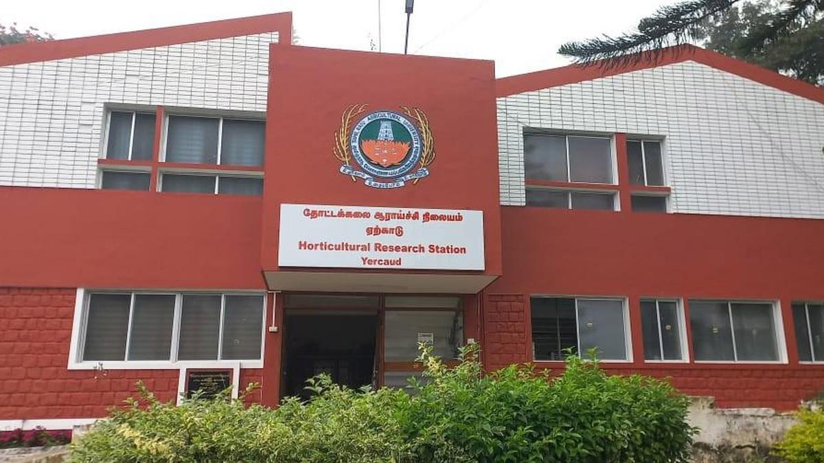 HRS, NABARD launch project for carbon-neutral coffee production in Yercaud