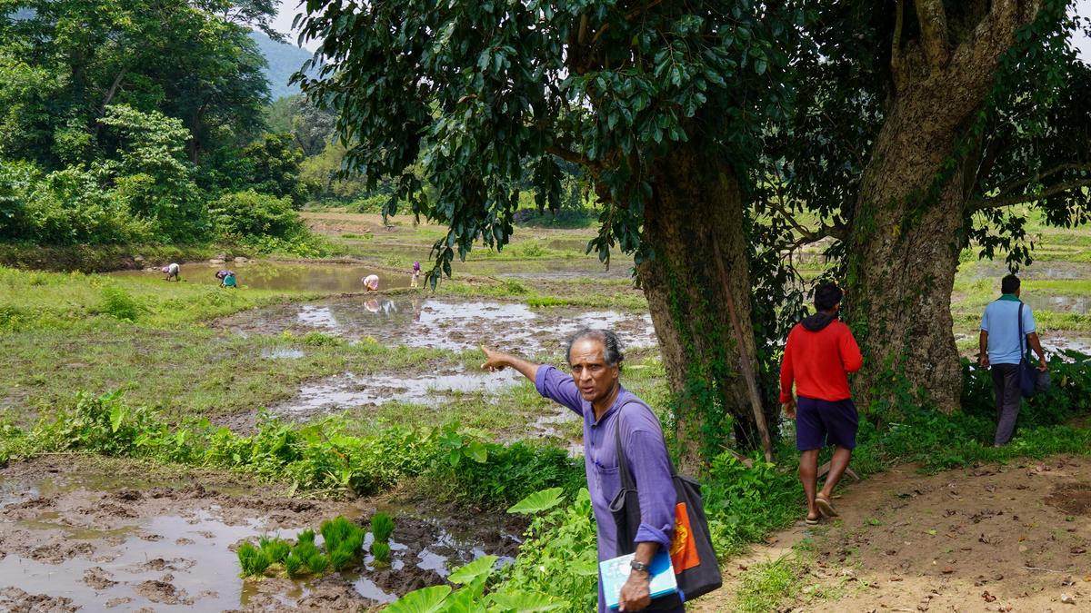 Demand for immediate scrapping of Adani’s 900 MW Raiwada PSP proposal