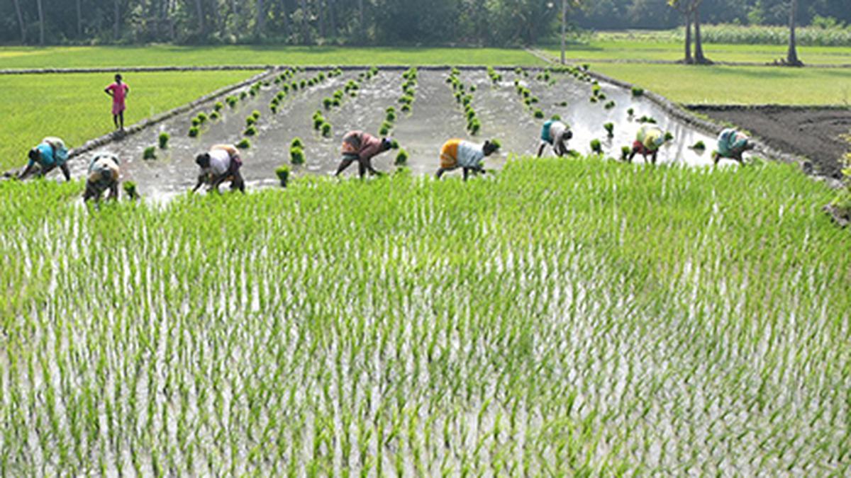 Tamil Nadu finishes on top in having highest amount of outstanding farm loans