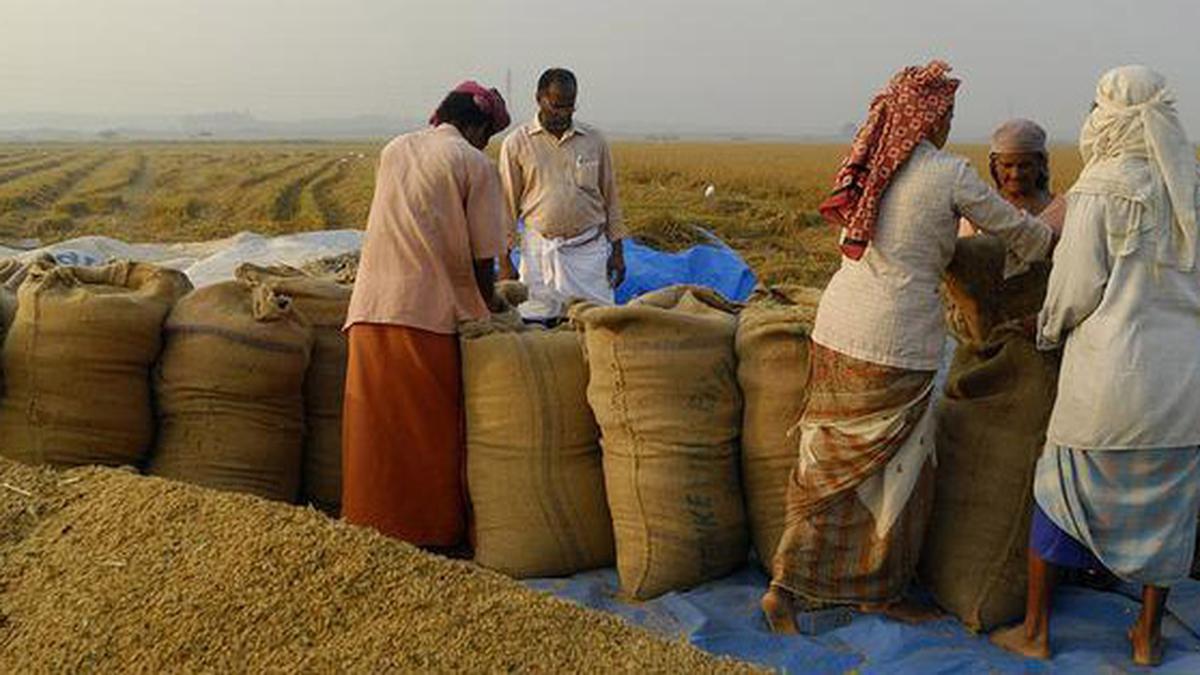 Bangladesh and Pakistan begin direct trade with import of rice