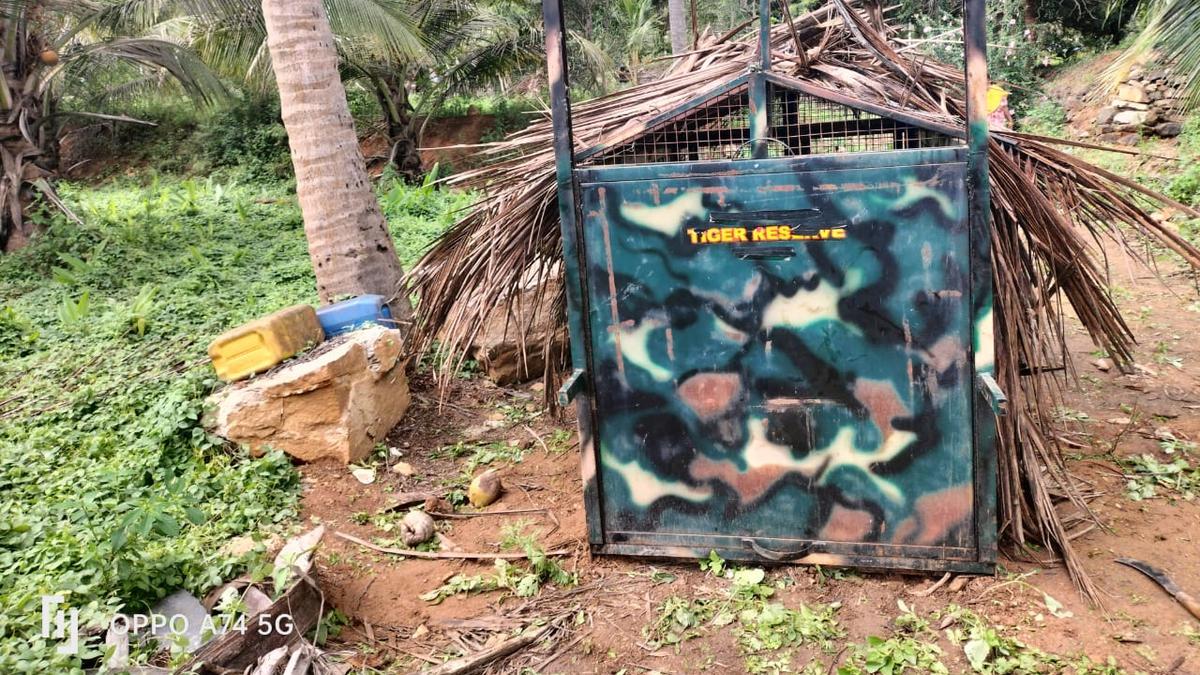 Forest Dept. places cage to trap leopard at Talavadi in Erode