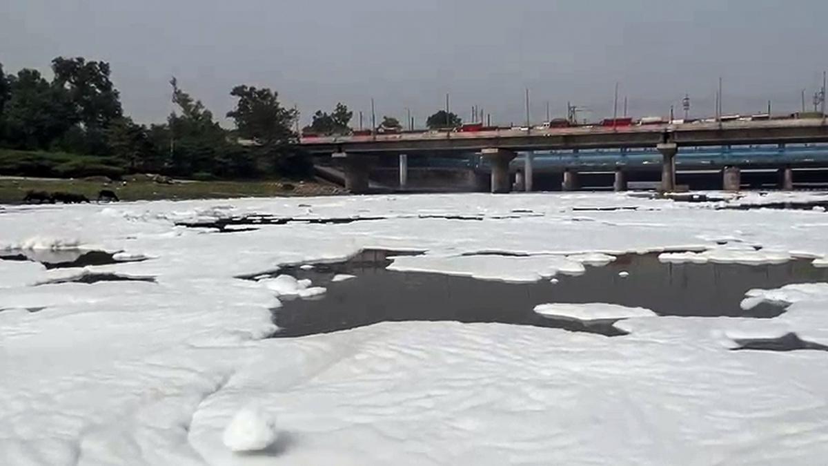 Delhi govt to engage academic institutions, NGOs for study on frothing in Yamuna