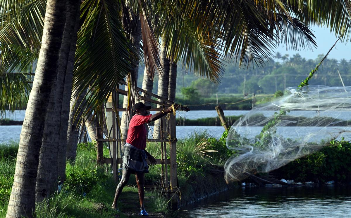 एक मछुआरा बैकवाटर में अपना जाल डालने के लिए तैयार है एक मछुआरा बैकवाटर में अपना जाल डालने के लिए तैयार है
