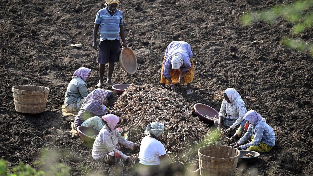 ‘Staggering’ number of workers face climate hazards, says UN