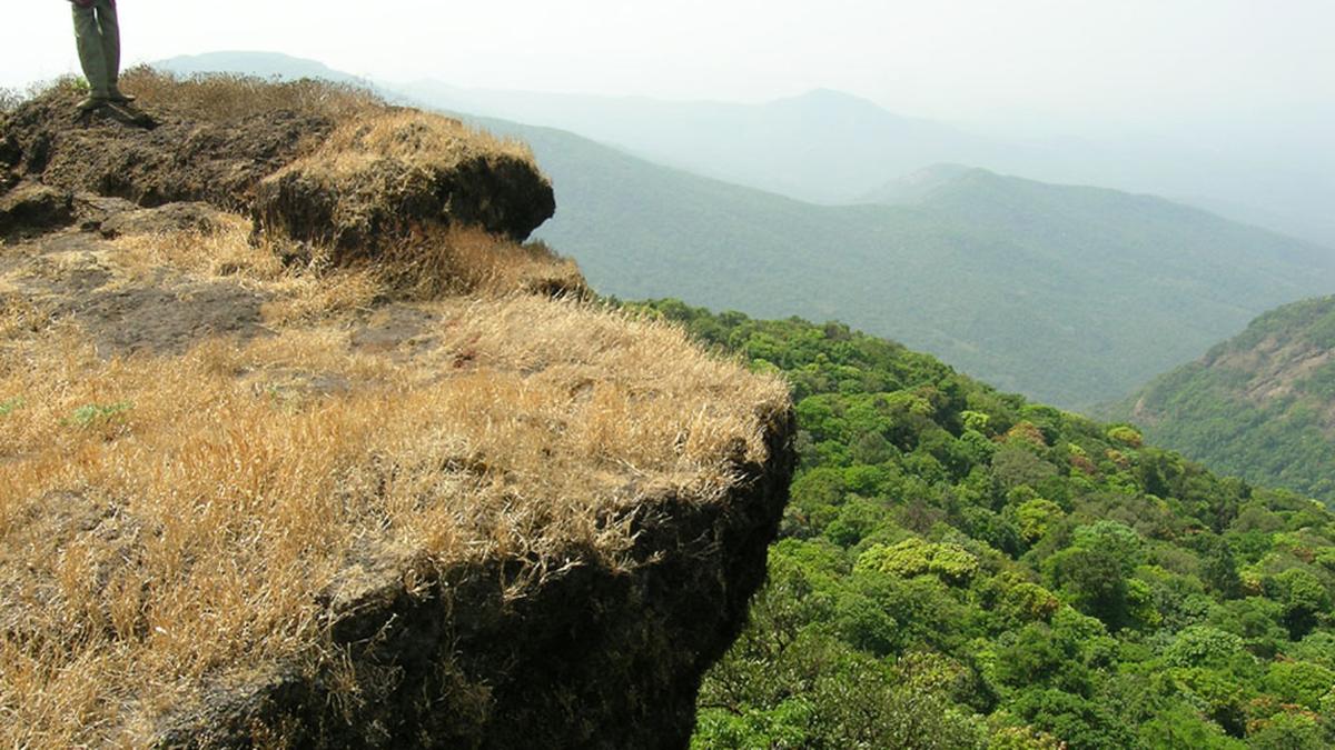 JLR told to return Hemmadaga Nature Camp to forest dept of Karnataka