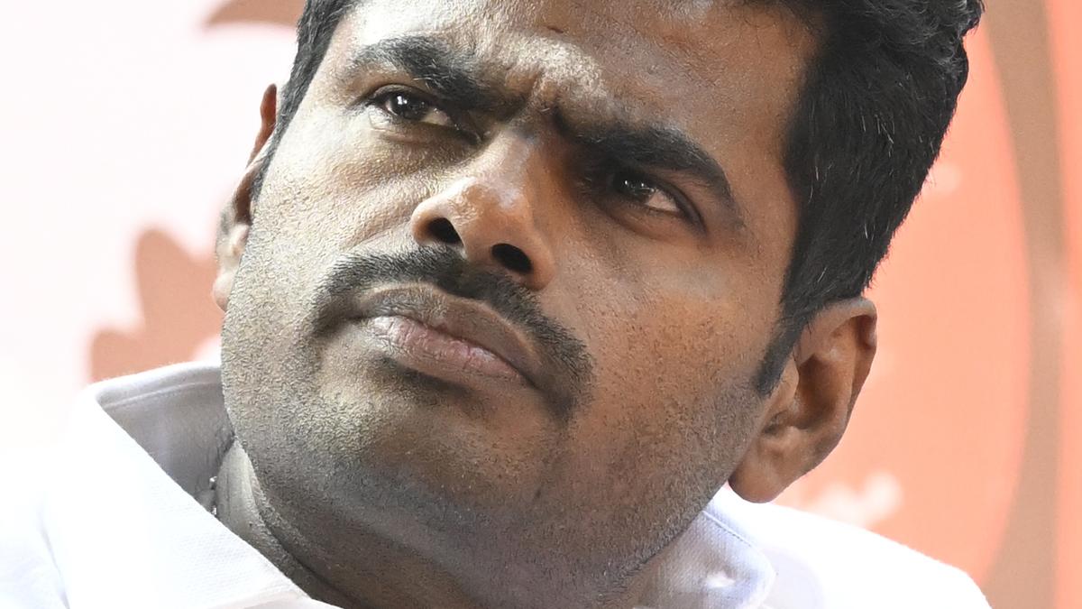 Political leaders opposing NEP, should disclose where their children, grandchildren are studying: Annamalai