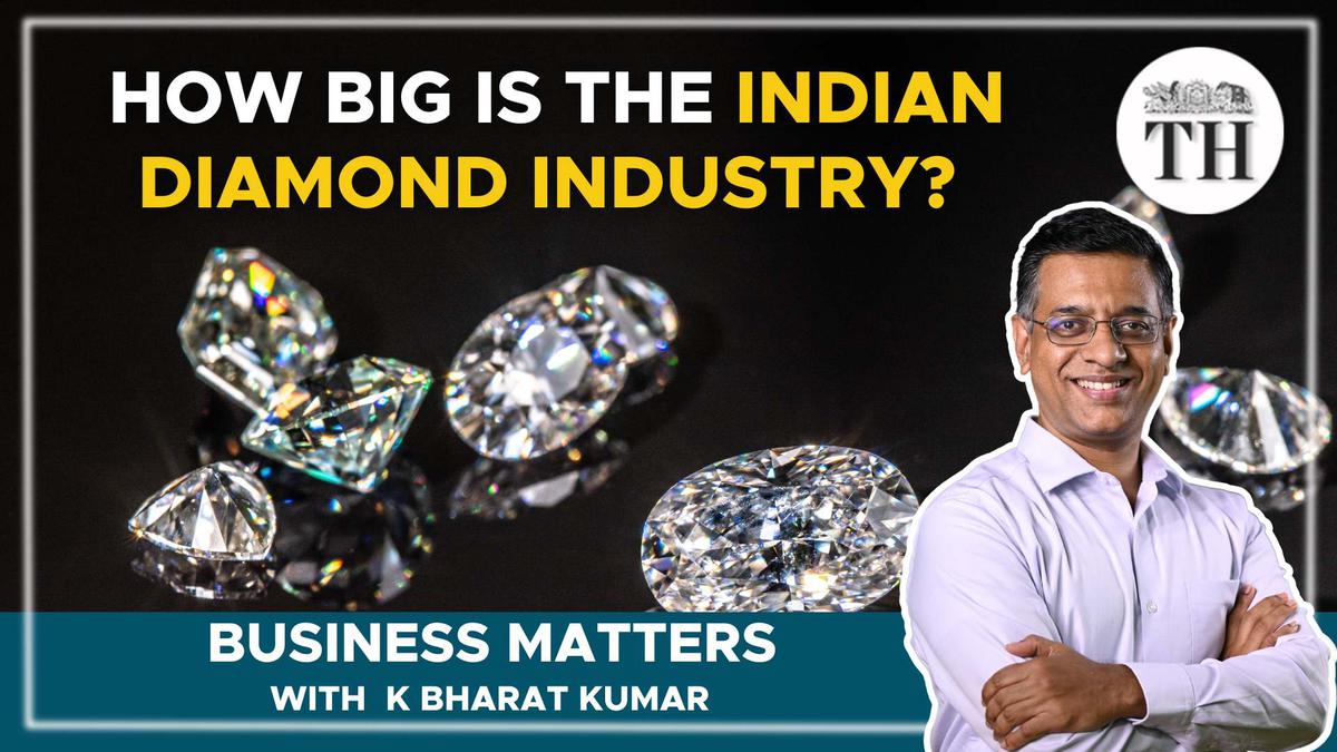 Business Matters | How will the West’s upcoming sanctions impact India’s diamond industry?
