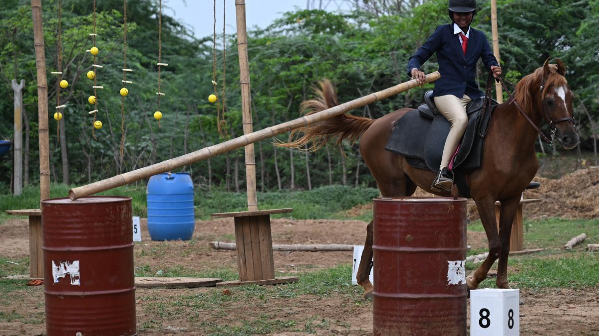Equestrian talent show held in Srirangam