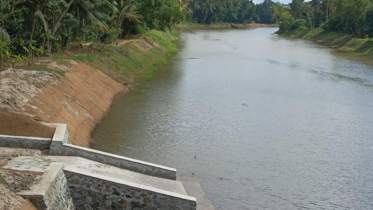 Watch | How this ‘dead’ river in Kerala was transformed