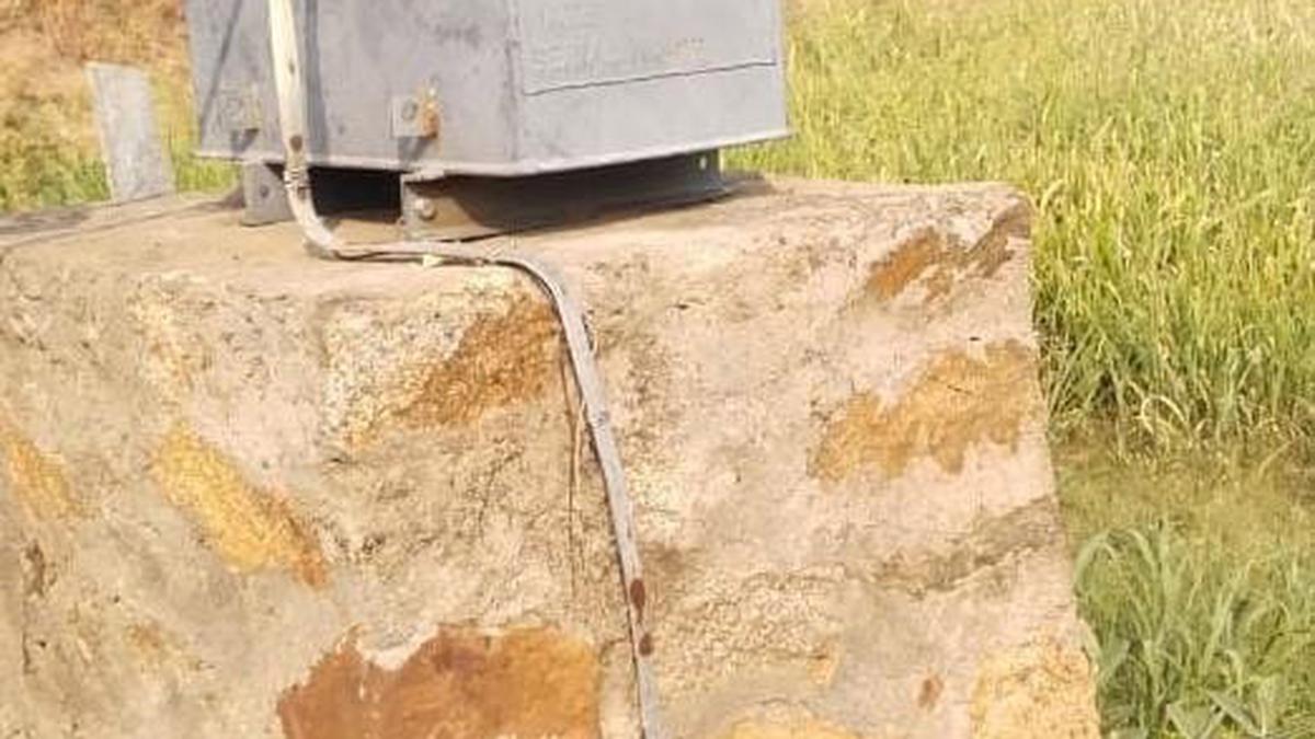 Leopard electrocuted after it climbs a transformer