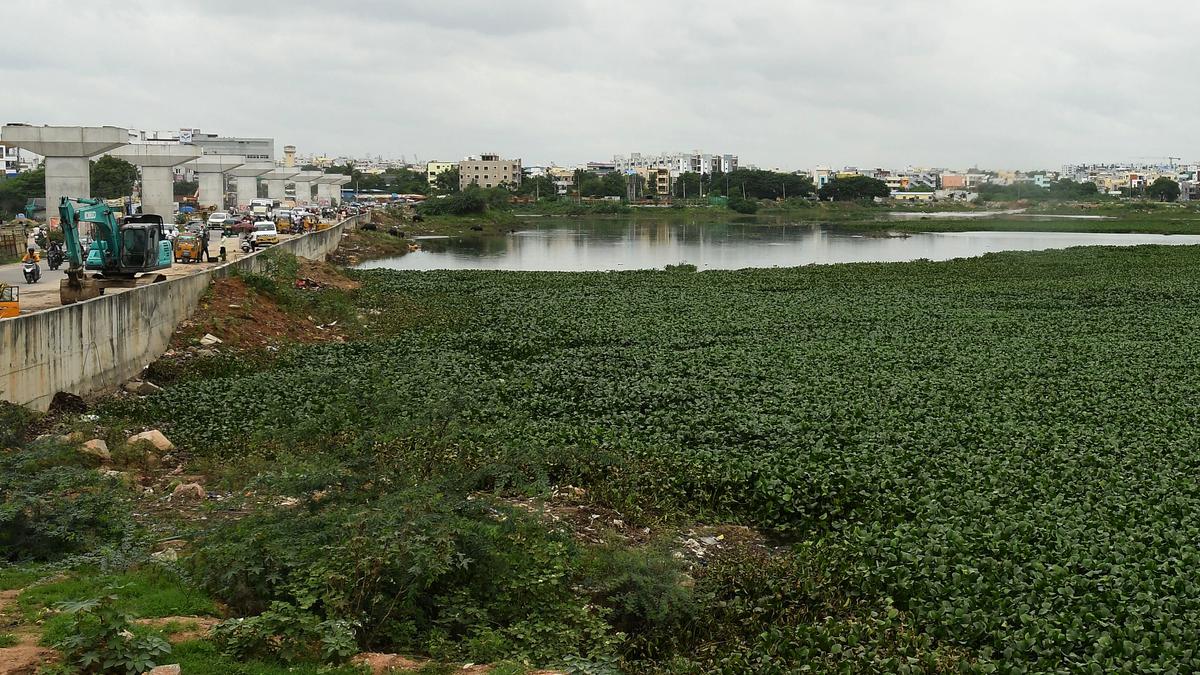 Report on water bodies in Hyderabad presents grim picture: HC
