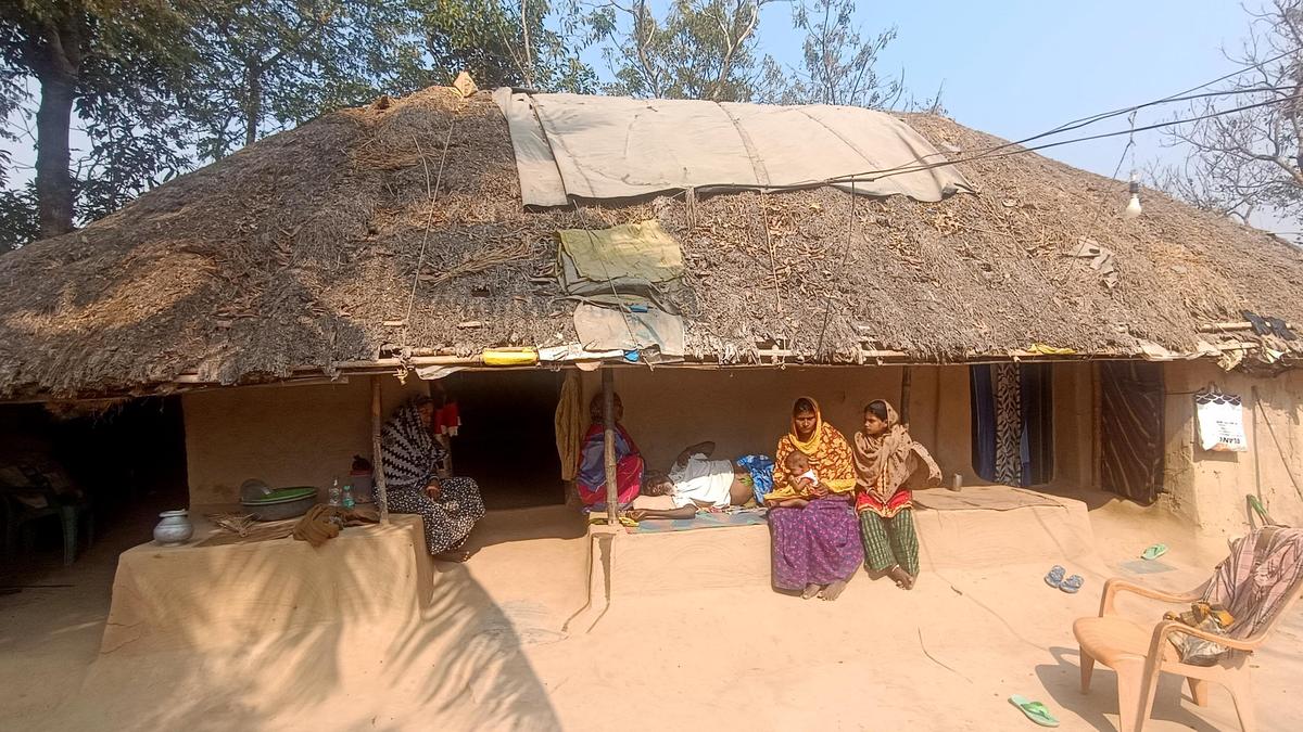 Killed for a cow: A mob lynching in Odisha and deepening mistrust between communities