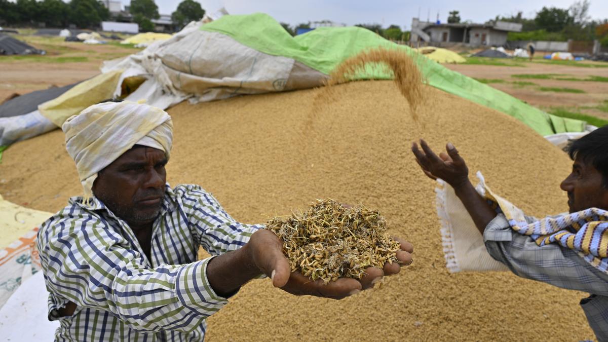 Unending woes of Telangana’s farmers