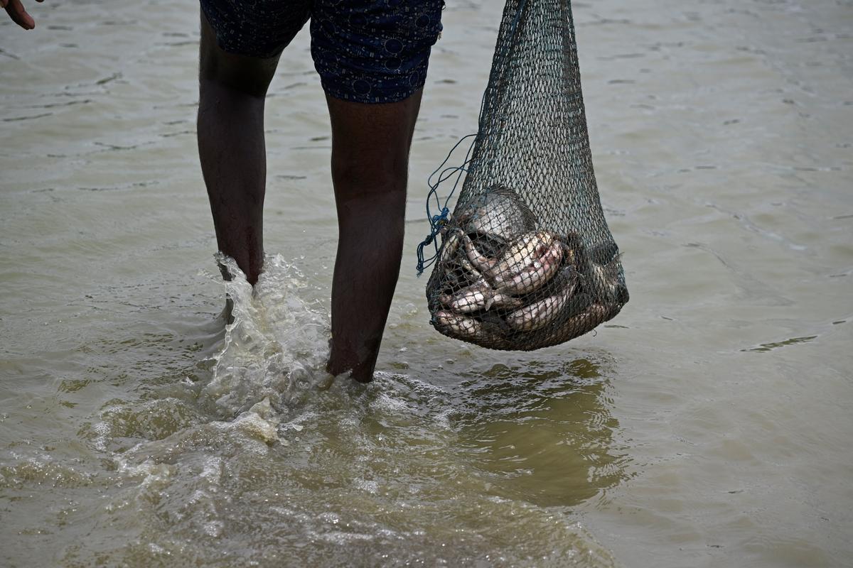 Fishing in Vedapatti lake in Coimbatore.