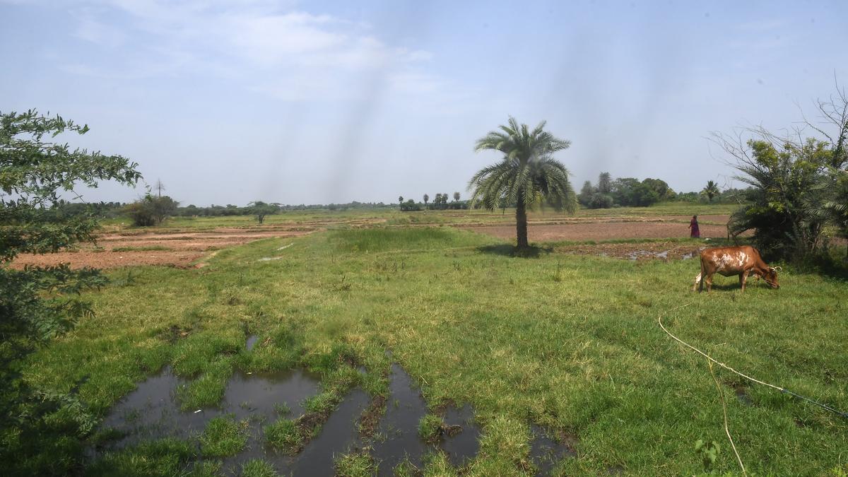 Parandur airport project gets no objection for site clearance from Ministry of Defence