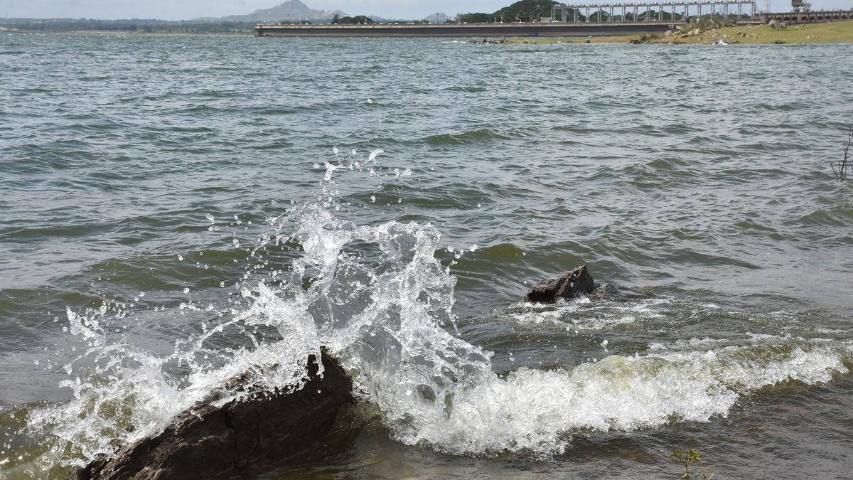 Puducherry government asks for its share of Cauvery water for rice cultivation in Karaikal