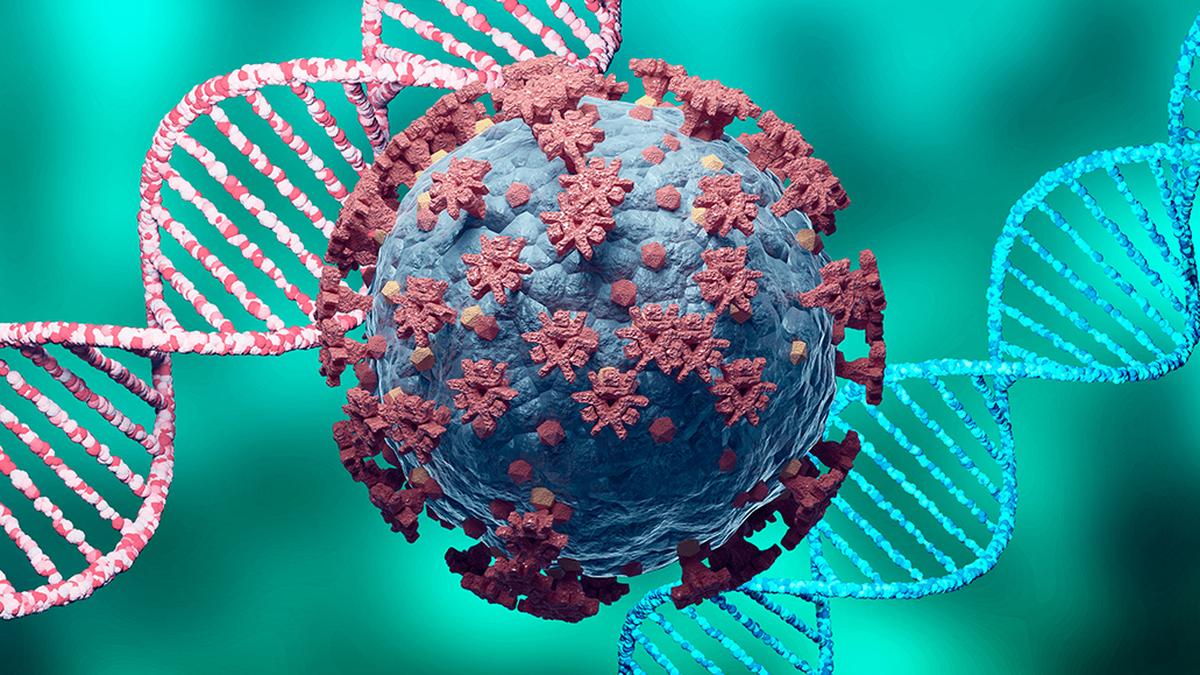 A new genetic analysis of animals in the Wuhan market in 2019 may help find COVID-19’s origin