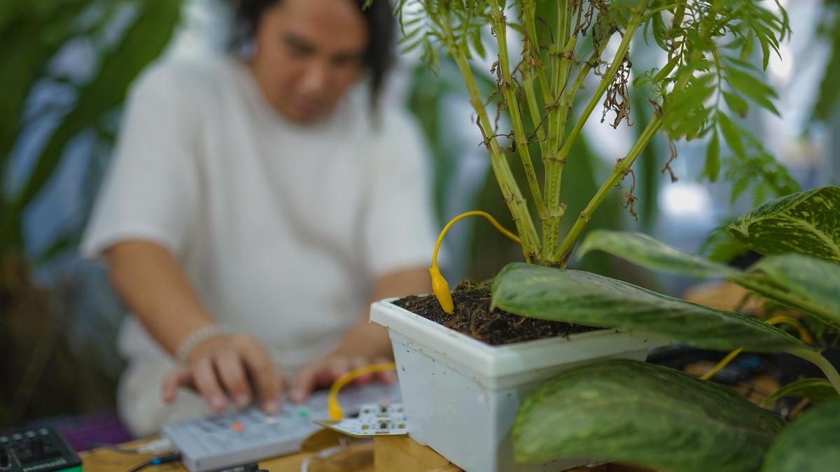 Indonesian band Bottlesmoker in action Indonesian band Bottlesmoker in action