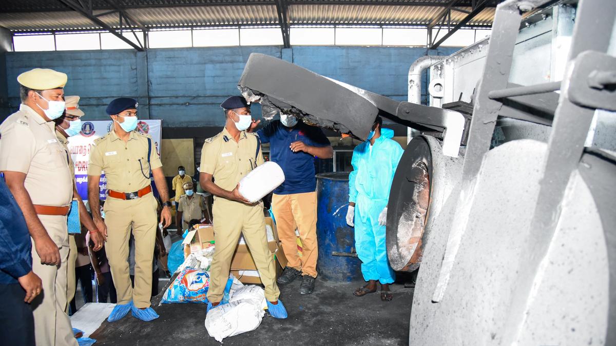 Over 700 kg of ganja seized in peddling cases destroyed