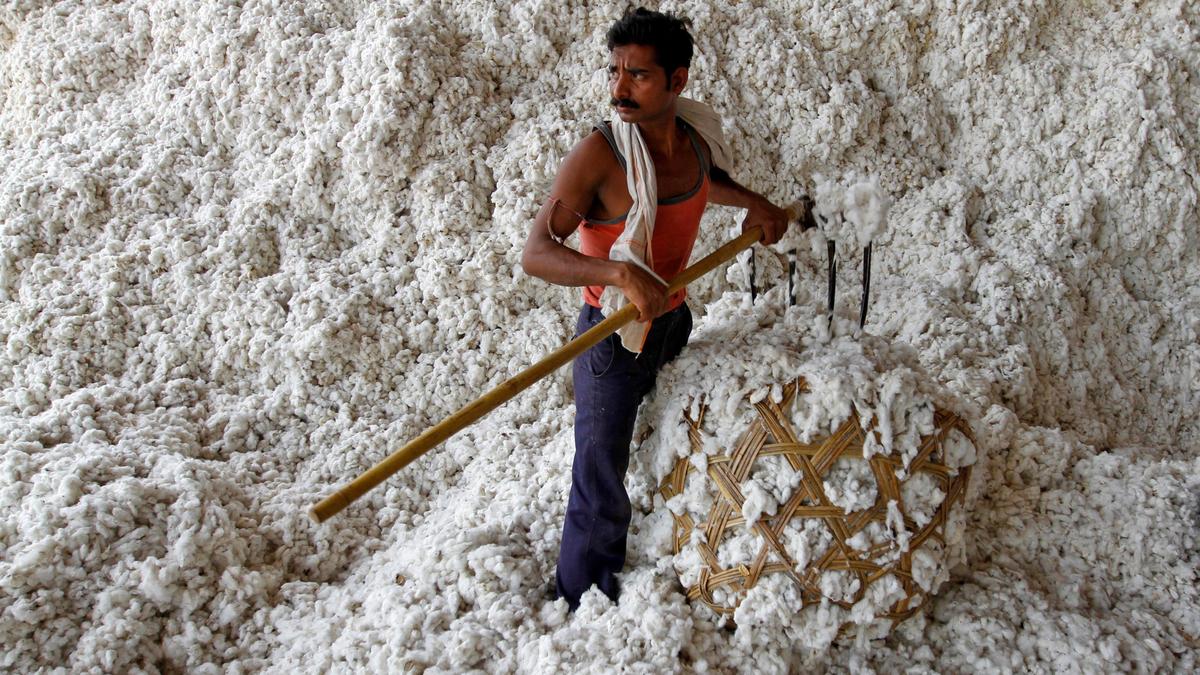 Government in 'advanced stage of consultation' on industry's demand for cotton import duty removal: Official