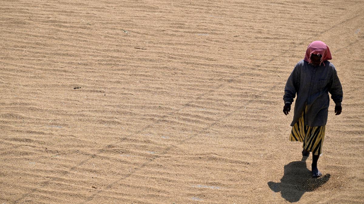 Blistering heat and soaring UV, humidity levels put Kerala on its toes