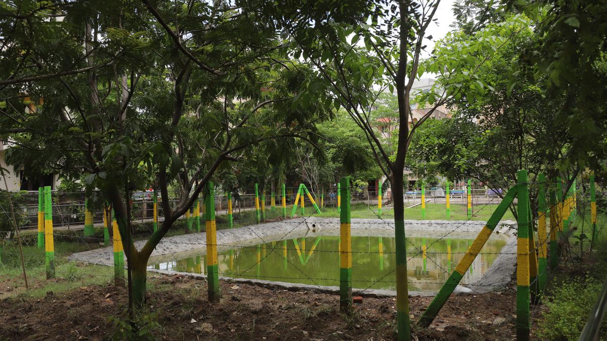 Sponge park in Chennai takes shape: Residents seek a small tweak