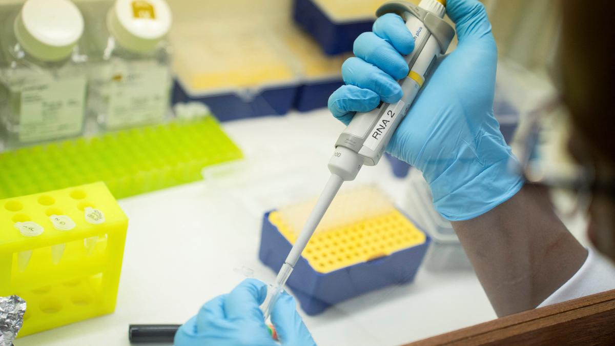 The silent engine behind every cancer cure: why everyone should care about research