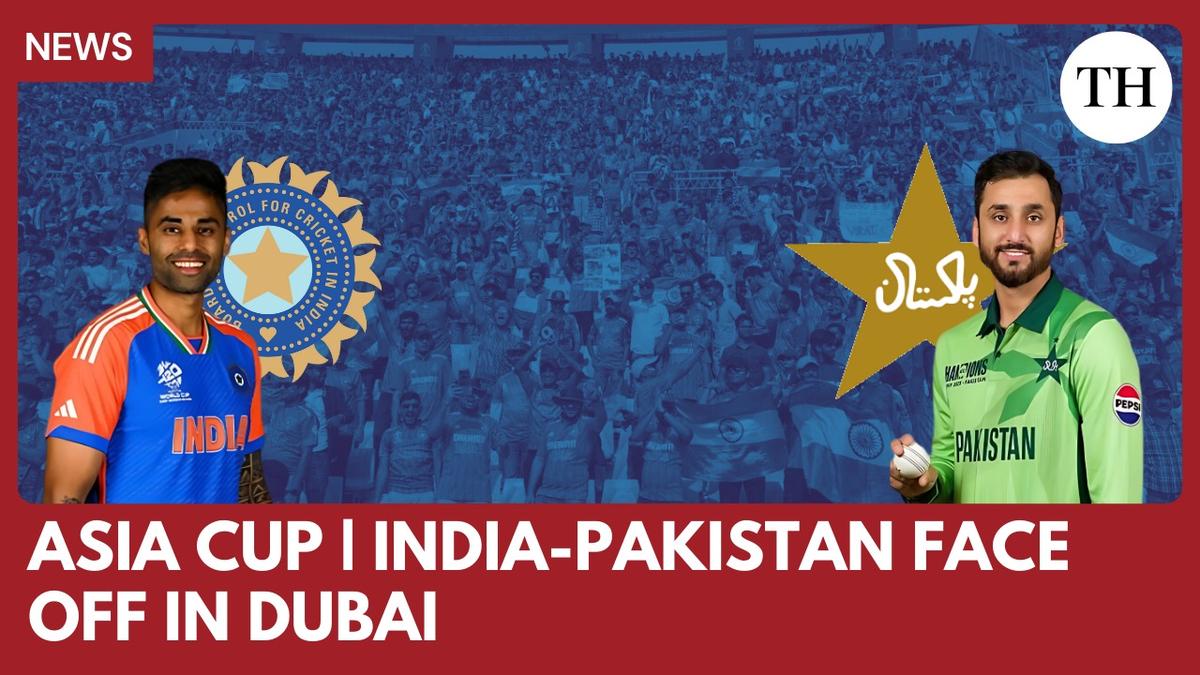 An irresistible charm drawing all eyes a magnetic pull