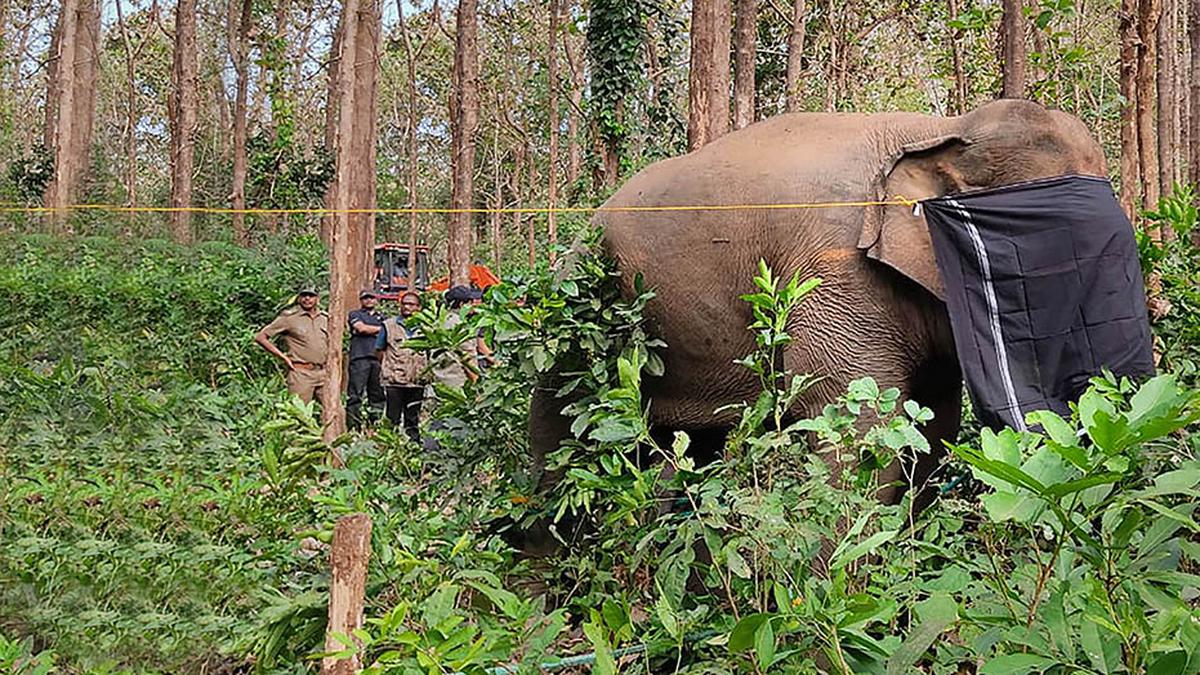 PT-7’s reported vision loss kicks up a row