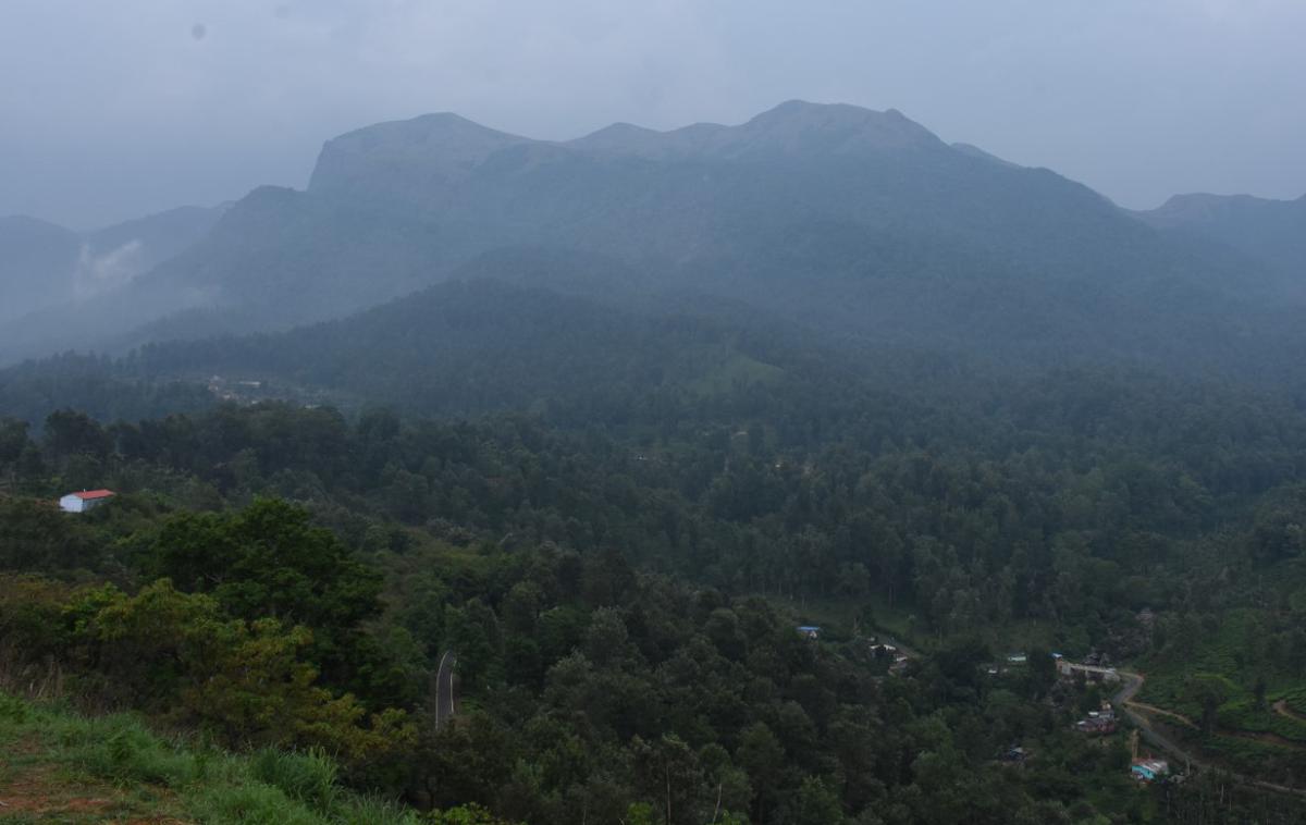 Kerala to demand relaxation in SC order of eco-sensitive zones around  forests - The Hindu