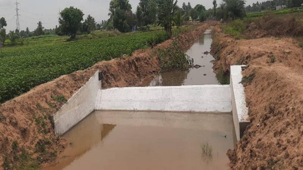 Watershed management works deliver promising results in Dharmapuri