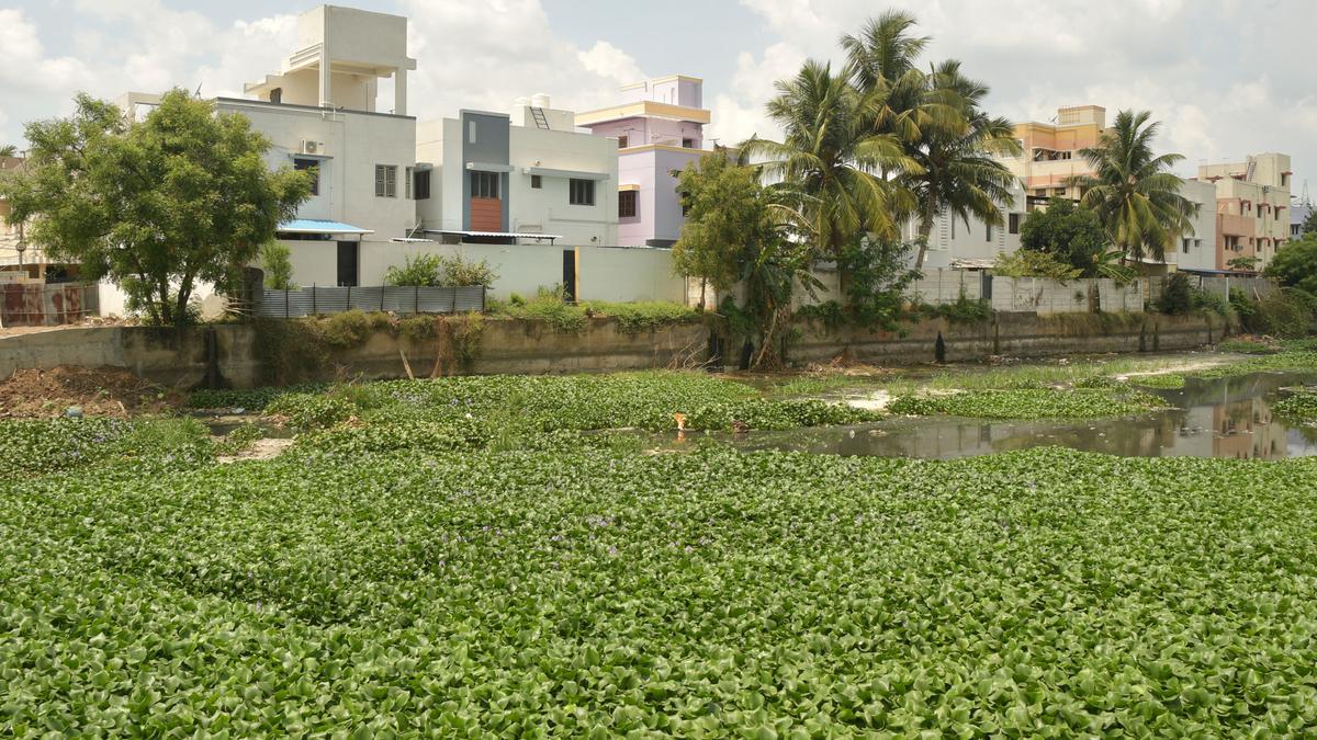 Tiruchi Corporation to identify buildings releasing sewage water into Uyyakondan canal