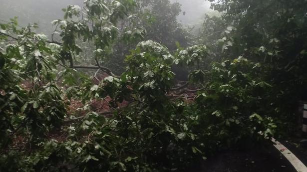 Heavy rains cause landslide at Agumbe; traffic hit