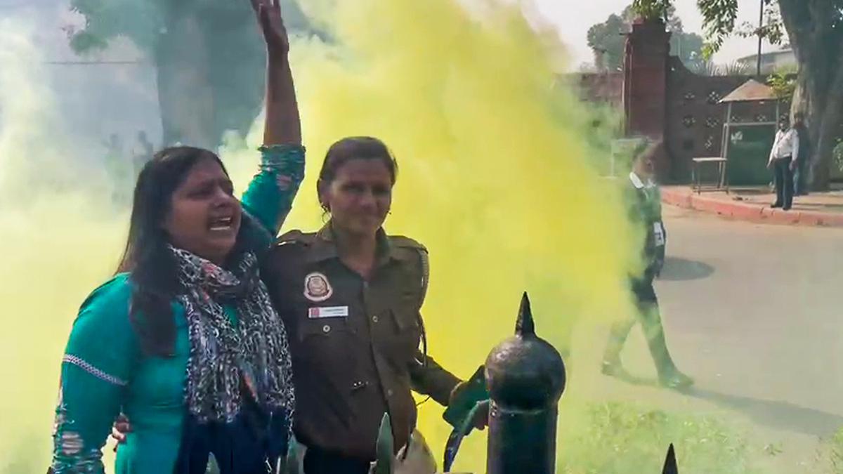 Parliament security breach | Haryana’s Neelam, detained from outside Parliament, had supported farmers stir; vocal on unemployment