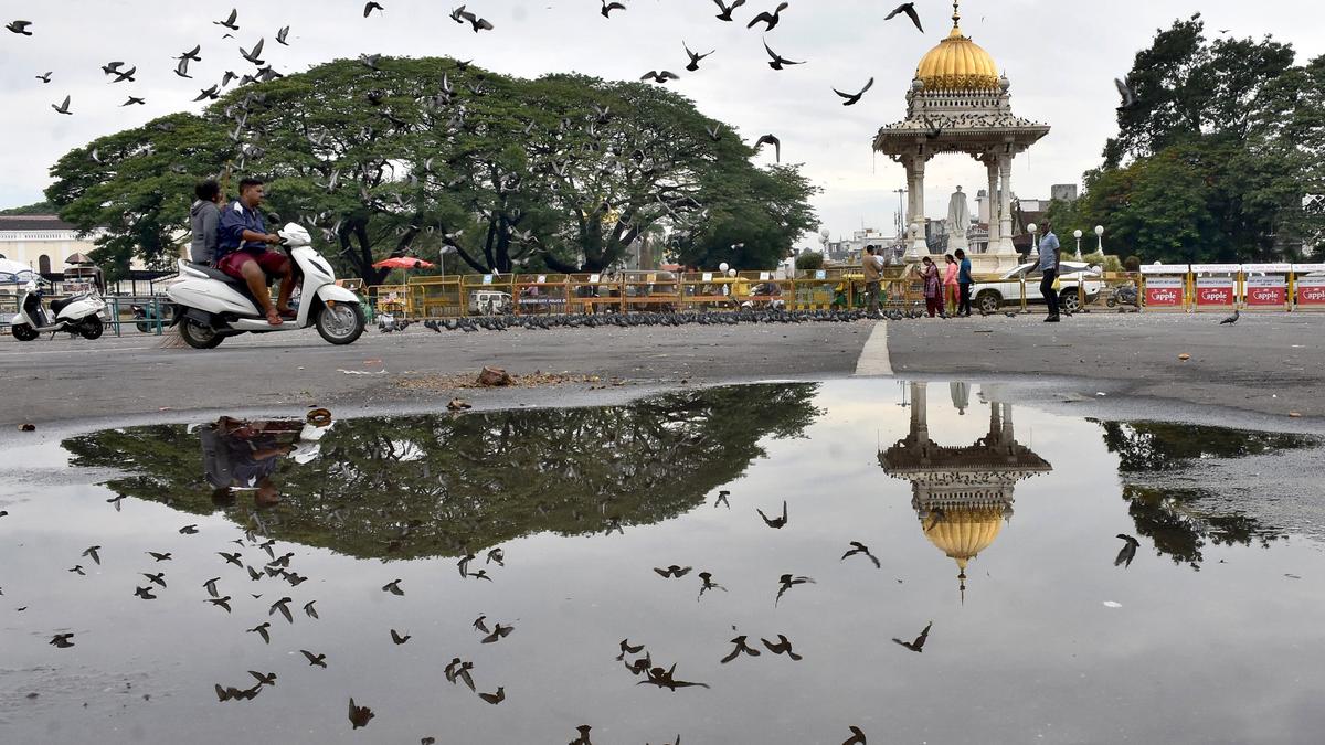 Rains affect life in Mysuru