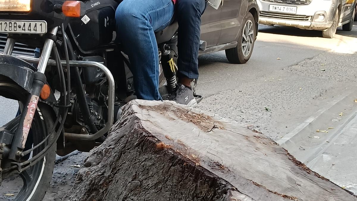 A lurking danger on Dr. Radhakrishnan Salai