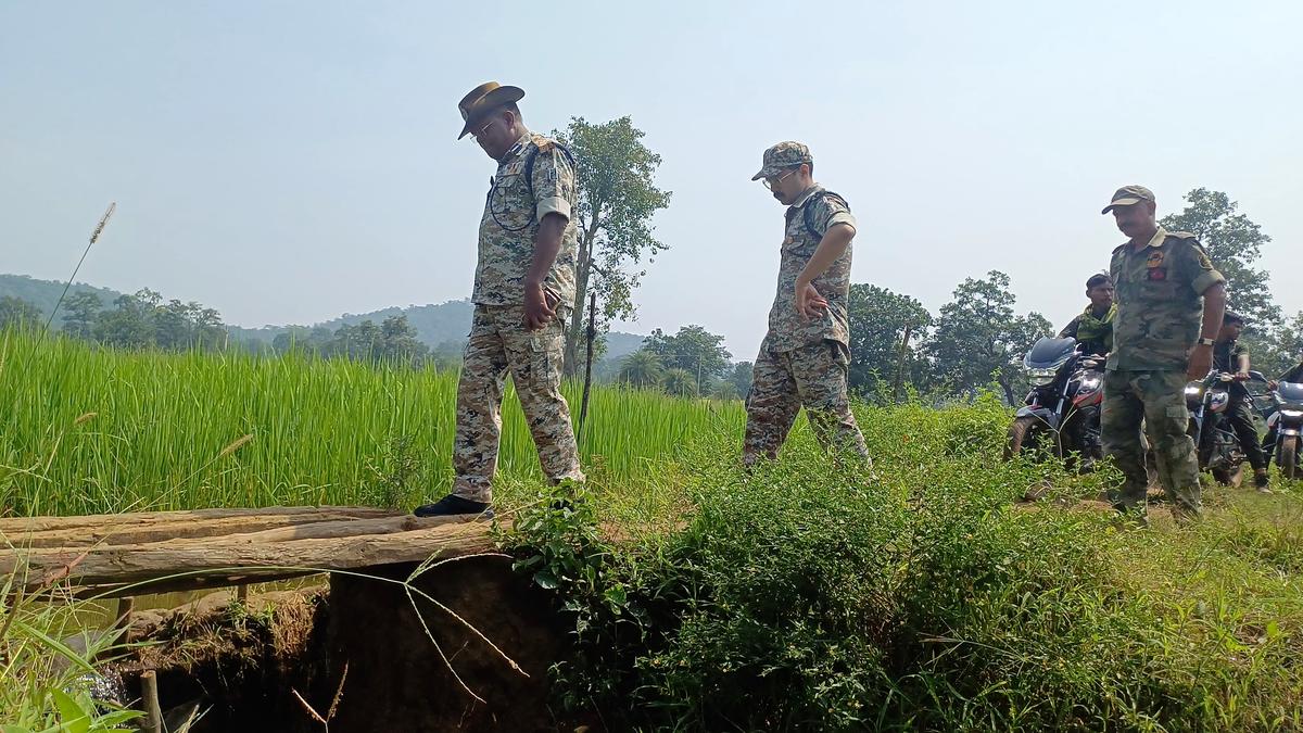 At least 29 Maoists surrender in Chhattisgarh's Narayanpur