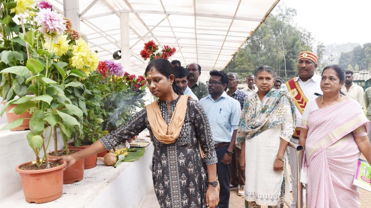 Floral arrangements inaugurated for 126th annual Ooty flower show