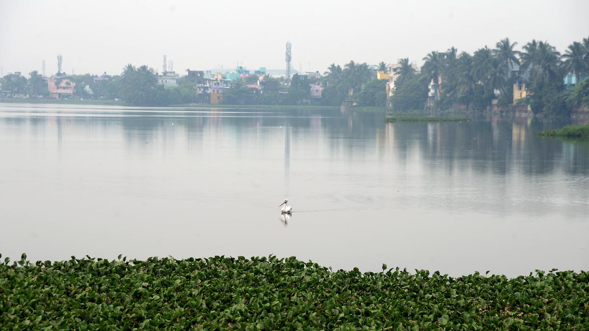 Audit calls for constitution of high-level committee to address recurrent flooding in Velachery