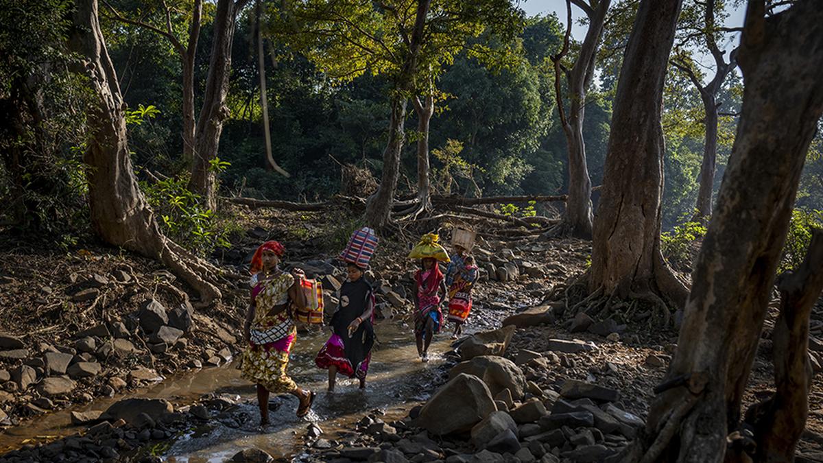 Prove that Forest Rights Act is responsible for ‘negative’ change to forest cover, Tribal Affairs Ministry tells Environment Ministry